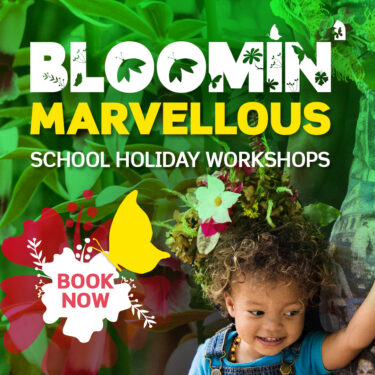 Best Sunshine Coast school holiday activities this spring