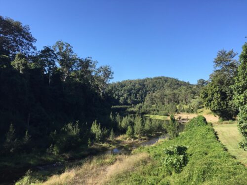 Imbil State Forest – Little Yabba Park Fig Tree Walk