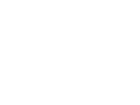Aero Dynamic Flight Academy