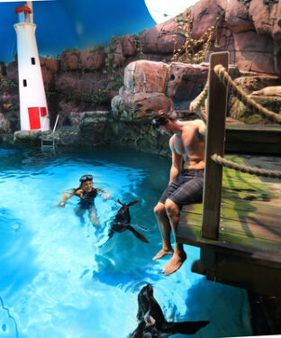 Sunshine Coast attractions: top seven for students