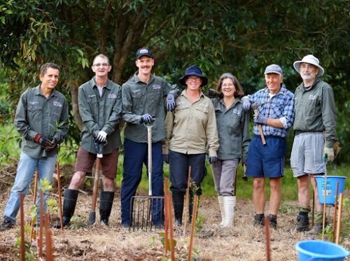 Looking to volunteer? Join a BushCare Community group
