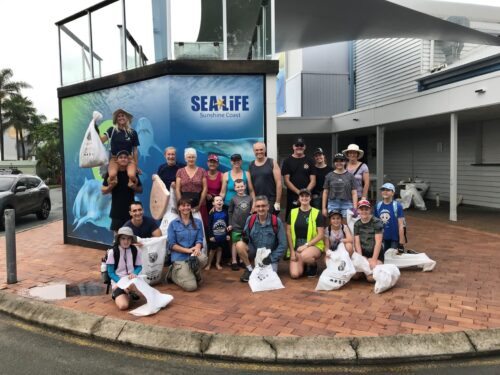 Become a Clean Ocean Champion