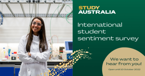 Calling all international students