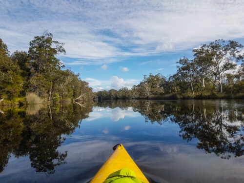 The Sunshine Coast has something special for everyone…