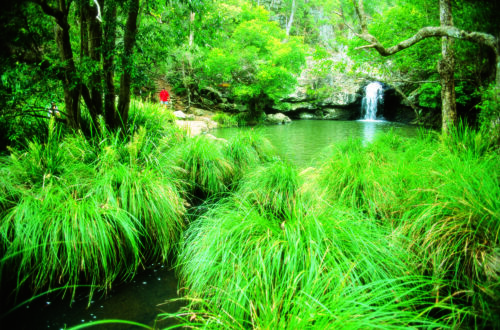 The Sunshine Coast…a great place for families and to study!