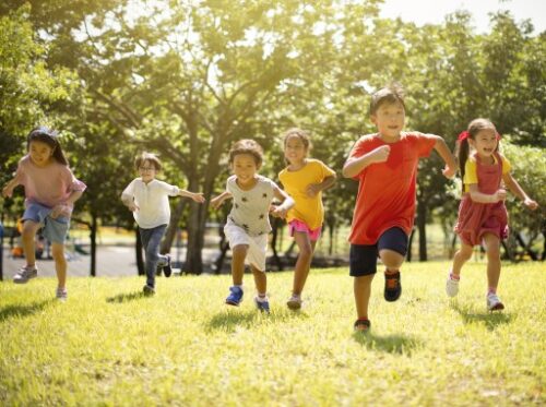 School holiday activity packs are back thanks to Sunshine Coast Libraries