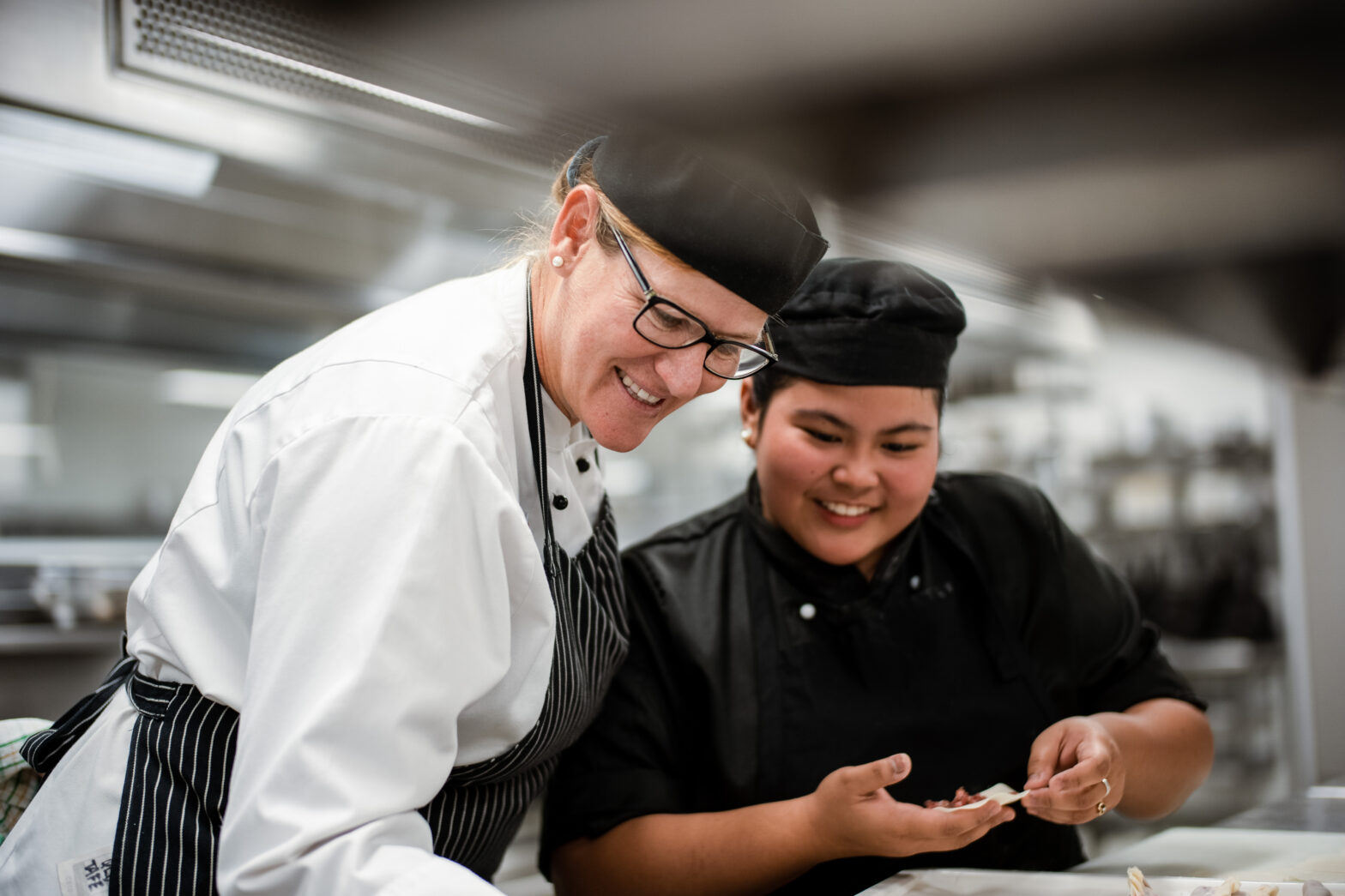 Jobs on the Sunshine Coast Study Sunshine Coast