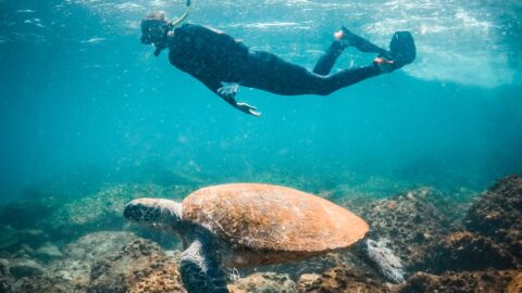 Sunshine Coast the only place in the WORLD where three UNESCO Biospheres align