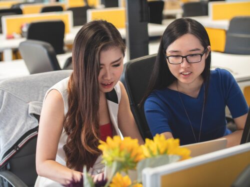 1800 QSTUDY – Support for international students
