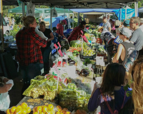 Bargain hunting at your Local Market