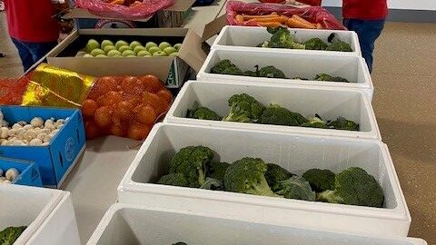 Food delivery to Sunshine Coast students in need