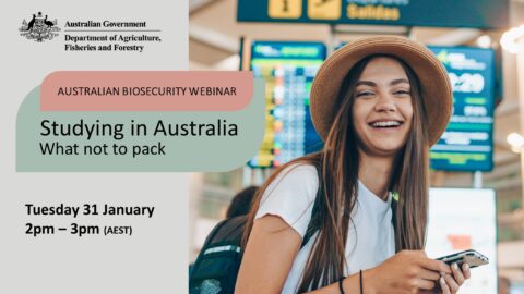 Studying in Australia? What not to pack