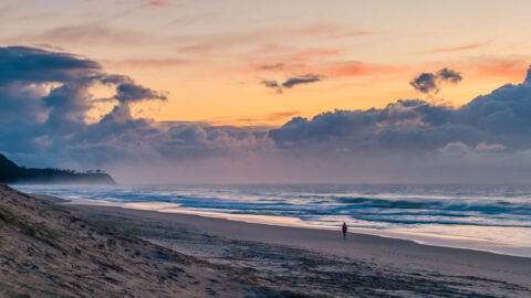 The Beginners Guide to Photographing the Sunshine Coast