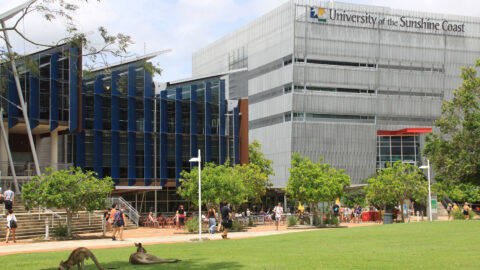 USC first in Qld, earns top-5 global spot in impact ranking